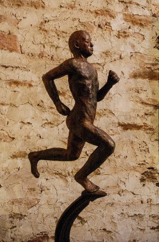 The Runner