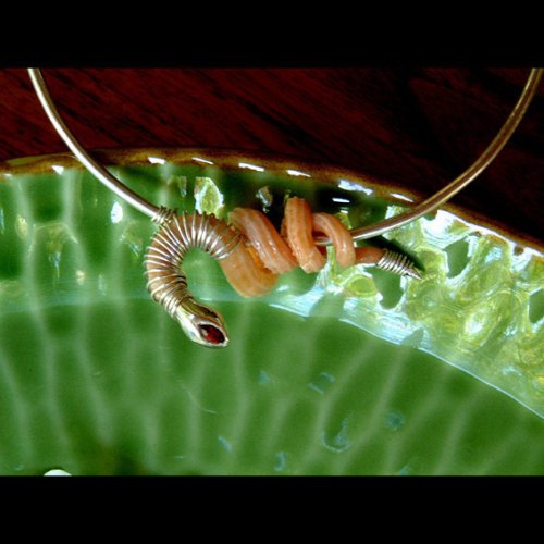 Snake