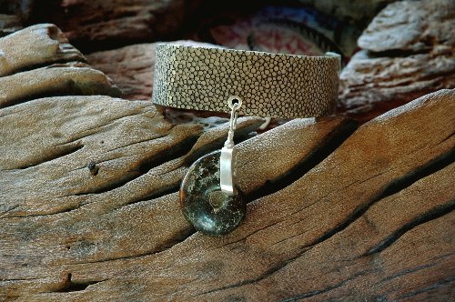 Sting Ray Fossil