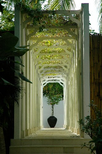 Home & Decoration