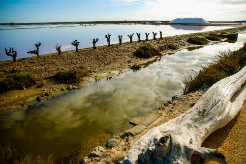 Travel & Landscapes