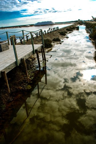 Travel & Landscapes