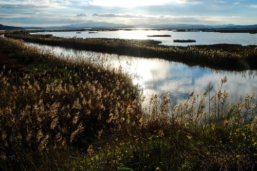 Travel & Landscapes