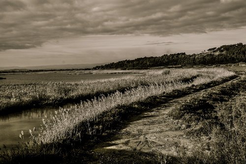 Travel & Landscapes