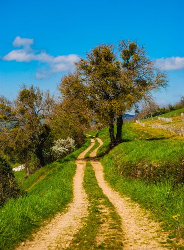 Travel & Landscapes