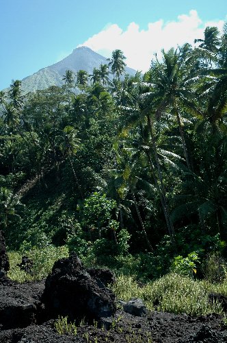 Travel & Landscapes