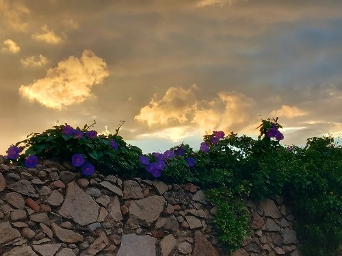 Travel & Landscapes